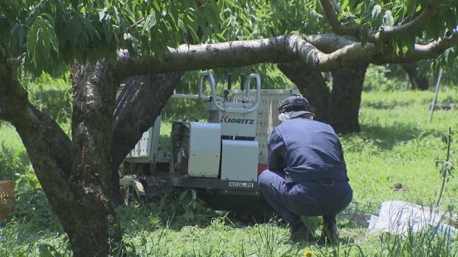 去年は5人死亡　トラクターなど農作業中の事故　建設業の２倍弱の水準　県など注意呼びかけ　山梨|TBS NEWS DIG