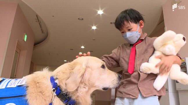 「全国のこども病院にいてくれたら患者や家族の支援につながる」病気と闘う子どもたちを支える「ファシリティドッグ」医療スタッフの一員として国内で4頭が活躍 普及に課題も【現場から、】|TBS NEWS DIG
