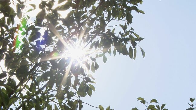 9月なのに最高気温38.2℃ 15年ぶりに記録更新の名古屋 容赦ない日差しにぐったり 引き続き「猛烈な暑さ」への対策を|TBS NEWS DIG