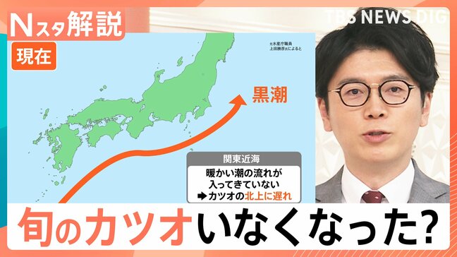 「高すぎて買えない」“庶民の味方”カツオの卸値1.5倍に、なぜカツオが獲れない?【Nスタ解説】|TBS NEWS DIG