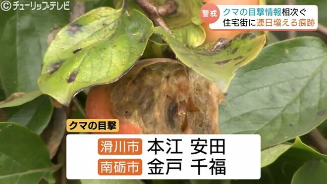 木の下に大量のフン「“怖い”しかない、朝晩 外に出られない…」住宅街で連日の痕跡　広がる不安の声　富山市大沢野地域|TBS NEWS DIG