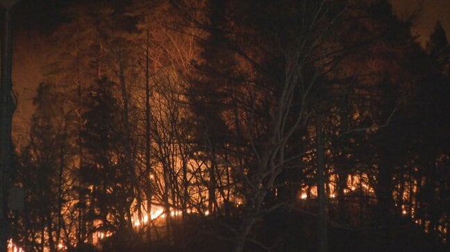「火種が風にあおられた」東京消防庁の職員を書類送検 山林107ヘクタール(時価2438万円相当)を焼損 火災防ぐ注意義務を怠った疑い 山梨|TBS NEWS DIG