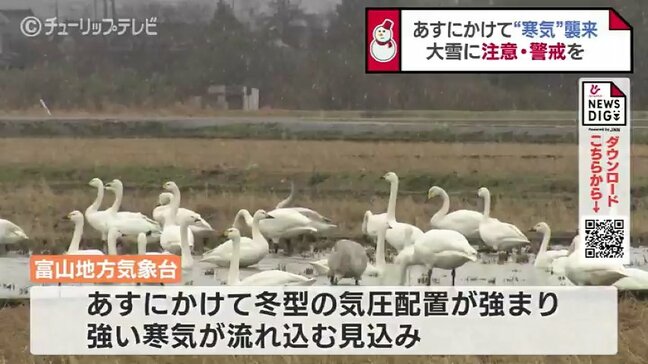 雪の中でハクチョウ羽を休める 今夜から寒気襲来 大雪に注意警戒を|TBS NEWS DIG