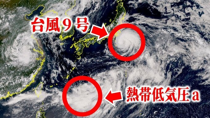 【台風情報】“台風のたまご”「熱帯低気圧a」が「台風9号（クローサ）」の下に…　24時間以内に「台風10号（バイルー）」に発達か　今後の進路は？【気象庁の最新情報・雨風シミュレーション】|TBS NEWS DIG
