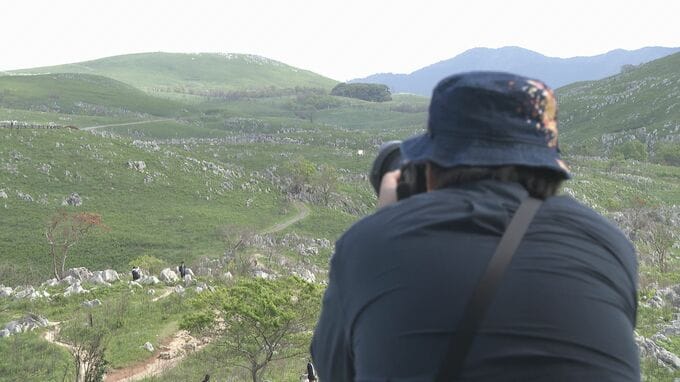 世界ジオパーク認定後の初の大型連休　秋吉台にぎわう　山口・美祢|TBS NEWS DIG