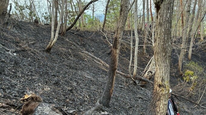 大江町で起きた山火事は鎮圧状態に　あすは午前5時から消火活動（山形）　|　山形のニュース│TUYテレビユー山形