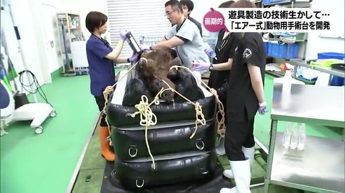 動物用エアー式手術台「ここでもオペ」　手術時間の短縮や負担軽減　開発したのはイベントでおなじみの「エアー遊具」製造企業|TBS NEWS DIG