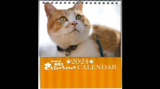 「買ってくれニャー！」備中松山城の猫城主 “さんじゅーろー”が卓上カレンダーに  高梁市内で販売中【岡山】|TBS NEWS DIG