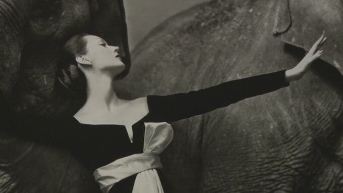 より深い想像力導く　「白と黒の世界」展　|　BSSニュース | BSS山陰放送