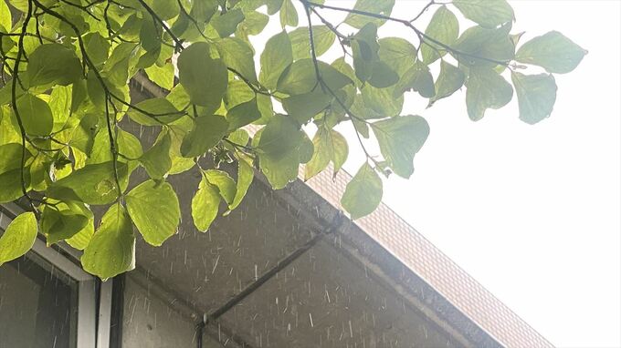 関東甲信地方が梅雨入り　平年より14日、去年より13日遅く|TBS NEWS DIG