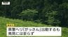 あすも朝から捜索予定　観光わらび園でわらび採り中に行方不明に...男性(78)は未だ見つからず　悪天候のためきょうの捜索は打ち切りに（山形・鶴岡市）　|　山形のニュース│TUYテレビユー山形