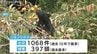 富山でクマ出没1068件「狩猟期間6週間延長へ」冬眠明けの人里への出没抑制狙う　|　富山のニュース｜天気・防災｜チューリップテレビ