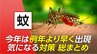 今年は早くも『蚊』にさされる人続出　「白」「黒」「白黒ボーダー」 さされやすいのは？蚊にさされやすい人ってどんな人？【ひるおび】|TBS NEWS DIG