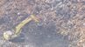 山積みの金属廃材内に消火剤や水がなかなか到達せず…約4800平方メートル焼ける 大同特殊鋼工場の火災 きょう実況見分 愛知･東海市　|　名古屋・愛知・岐阜・三重のニュース【CBC news】 | CBC web