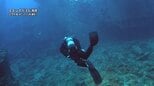 沈んだ米軍艦近くでダイビングの女性 水深35メートルで呼吸に異常、その後死亡 沖縄・古宇利島沖|TBS NEWS DIG