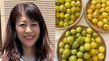 【 白石美帆 】　「う〜ん、梅の良い香り　今年も梅仕事の季節がやってきた！」　梅干しや梅シロップ作りを報告　【夫は元V6・長野博さん】|TBS NEWS DIG