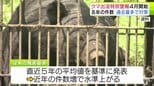 「異次元の出没」に青森県が独自のツキノワグマ特別警報を新設　発表基準も見直し4月から体制強化へ　県として初の捕獲事業も状況次第で検討　津軽半島で本来の生息ゼロを目指す|TBS NEWS DIG