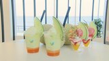 目玉はメロン使ったメニュー…6次産業化目指すカフェ 水耕栽培とLED利用で年間通して収穫 富山・朝日町 | 富山のニュース|天気・防災|チューリップテレビ