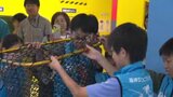 「こんな大変な仕事を、開店前にやってるのかと思った」水族館で飼育員体験 愛媛・いよてつ髙島屋 | 愛媛のニュース - Nスタえひめ|あいテレビは6チャンネル