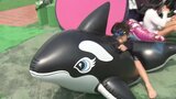 「20年モノのシャチと一緒に」世代を超えて愛されるファミリープールで見つけた夏休みの笑顔と本音 広島|TBS NEWS DIG