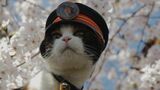 社長「私のベストパートナーだった」廃線寸前の地方鉄道を復活させた『三毛猫のたま駅長』写真集に詰め込まれた約8年間の記録と思い出|TBS NEWS DIG