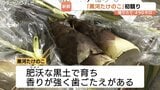 特産「黒河たけのこ」初競り！朝どれ490キロが並ぶ 香りと歯ごたえ抜群の仕上がり、JA直売所や学校給食にも登場…春の便りをお届け|TBS NEWS DIG