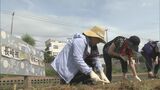 水を求めて亡くなった原爆犠牲者を慰霊 浦上川沿いに花の苗植え【長崎】 | 長崎のニュース | 天気 | NBC長崎放送