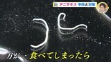 アニサキス、ここに注意が必要　経験者・専門家・料理人に聞くと…　|　RCC NEWS | 広島ニュース | RCC中国放送