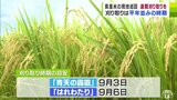 青森県産米の生育状況を確認　刈り取りできる状態となる目安は「青天の霹靂」が9月3日「はれわたり」は9月6日と平年並みの時期　|　青森のニュース│ATV NEWS│青森テレビ