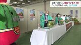 大きさ日本一!入善ジャンボ西瓜 重さも貫禄も十分 富山・入善町|TBS NEWS DIG