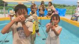 ニジマスつかみ取りや夏野菜の収穫を体験 親子で交流 子育て支援イベント | 山梨のニュース | UTYテレビ山梨