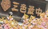【速報】壽三色最中本舗が破産手続き開始決定受ける 負債額約5億円 宮城・名取市 | 宮城のニュース│tbc NEWS│tbc東北放送
