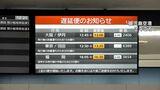 日本航空 サイバー攻撃でシステム障害 鹿児島発着便にも影響 | 鹿児島のニュース|MBC NEWS|南日本放送