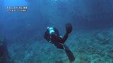 沈んだ米軍艦近くでダイビングの女性　水深35メートルで呼吸に異常、その後死亡　沖縄・古宇利島沖|TBS NEWS DIG