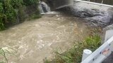 沖縄本島地方で大雨 本島南部・北部・久米島で土砂災害に警戒 【大雨情報・15日午前】 | 沖縄のニュース|RBC 琉球放送