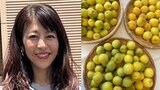 【 白石美帆 】 「う〜ん、梅の良い香り 今年も梅仕事の季節がやってきた!」 梅干しや梅シロップ作りを報告 【夫は元V6・長野博さん】|TBS NEWS DIG