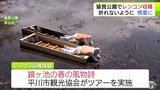 猿賀公園でレンコン収穫　折れないように慎重に　青森県平川市|TBS NEWS DIG