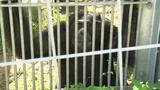 おりから動物が逃げ出したら… 沖縄こどもの国で動物捕獲訓練 | 沖縄のニュース|RBC 琉球放送