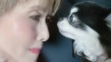 【 小柳ルミ子 】「心療内科に」「73年生きてきて初めて」 愛犬ルルとの別れは辛く “恋しくてどうしたら良いかわかんないよー” 当日の不思議な行動も回想|TBS NEWS DIG