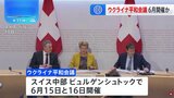 ウクライナ平和会議 6月にスイスで開催|TBS NEWS DIG