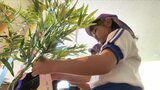 「お願いが叶うといいな」 園児が短冊に願い事を書いて七夕の飾りつけ | 山梨のニュース | UTYテレビ山梨