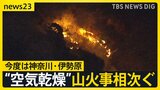 “空気乾燥”山火事相次ぐ…今度は神奈川・伊勢原の日向山で 関東の降水量↓“乾燥注意報”5都県で 「小さな火でも注意必要」【news23】|TBS NEWS DIG