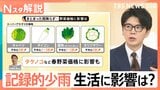 “30年に一度”記録的な少雨に農家悲鳴「経験がない」野菜の価格に影響、ダムも水不足「貯水率ゼロ」も【Nスタ解説】|TBS NEWS DIG