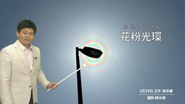 【きょうの天気】3月は青空スタート　東京マラソンも天気の崩れなし　西～東日本の花粉はピークへ突入|TBS NEWS DIG