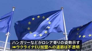 ウクライナのEU加盟「汚職対策や司法の独立など懸念あり」 加盟には全会一致が必要…加盟の道筋不透明| TBS CROSS DIG with Bloomberg