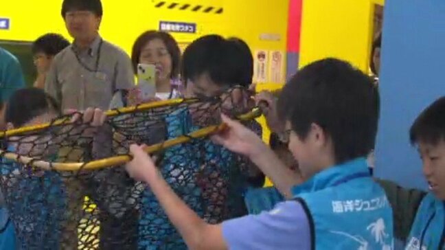 「こんな大変な仕事を、開店前にやってるのかと思った」水族館で飼育員体験 愛媛・いよてつ髙島屋|TBS NEWS DIG