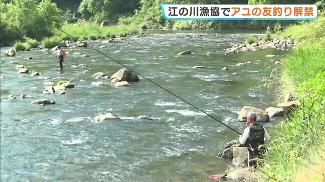 アユの友釣り解禁　解禁待ちわびた釣りファンが竿を操りアユを釣り上げ　広島・三次市|TBS NEWS DIG
