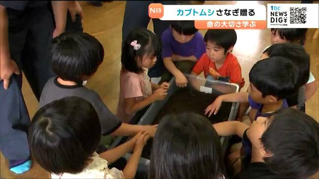 「カブトムシをだっこしたりとか、高い高いする」農業学ぶ支援学校生徒　園児に“カブトムシ”の幼虫をプレゼント　宮城・岩沼市|TBS NEWS DIG