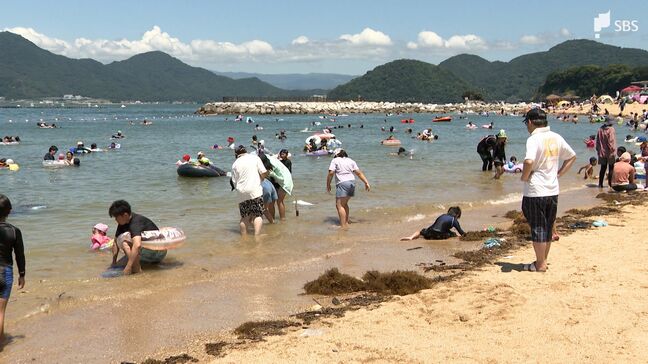 水質最高評価! 国が発表『水質が特に良好な水浴場』全国11か所中5か所に静岡県沼津市のビーチが選定|TBS NEWS DIG