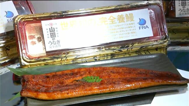 卵から育てた「完全養殖うなぎ」蒲焼をECサイトなどで試験販売 鹿児島のうなぎ店「日本の食文化守られるのかな」|TBS NEWS DIG